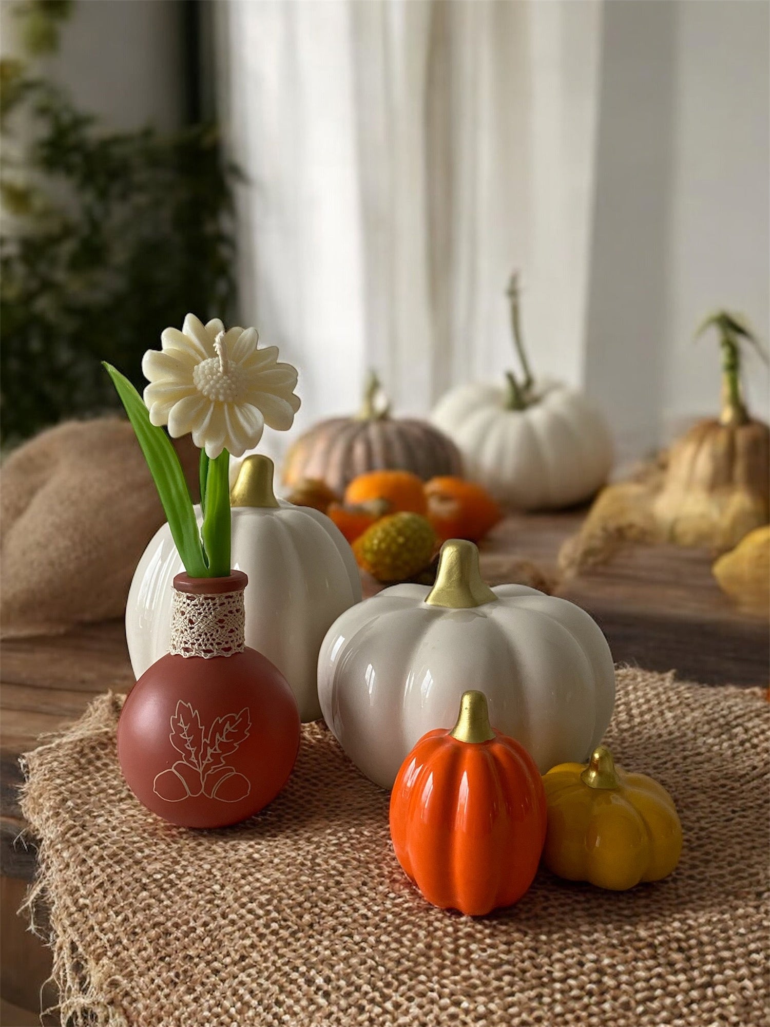 COLLECTION AUTOMNE